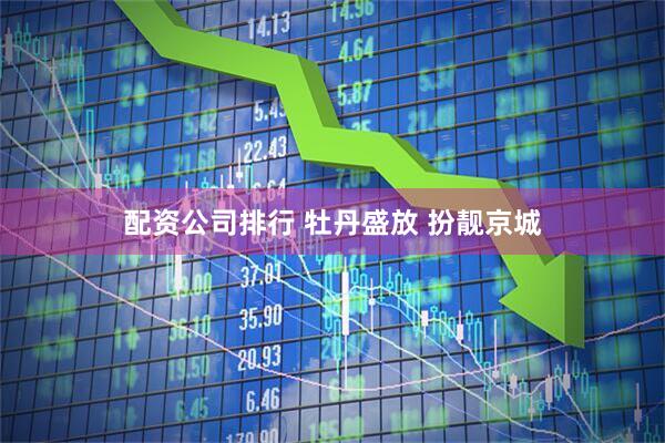 配资公司排行 牡丹盛放 扮靓京城