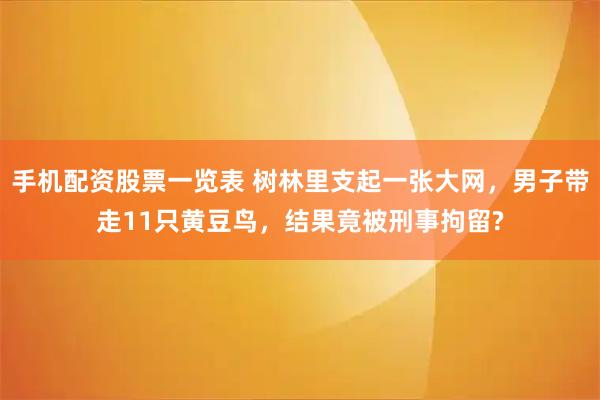 手机配资股票一览表 树林里支起一张大网，男子带走11只黄豆鸟，结果竟被刑事拘留?